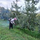 장자골 농장 이미지