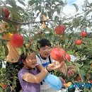 유영수 농장 이미지