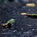 비 개인 후 이미지