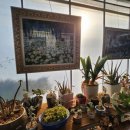 외도약국 | 거제가족펜션으로 이용해본 리틀포레스트 2호점, 거제펜션추천 후기