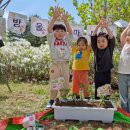 그린키친 이미지