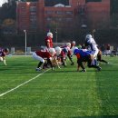 감포축구장 인조잔디축구장 이미지