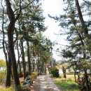 태안별장 이미지