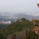 코웨이상록 이미지