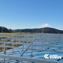 장곡한우목장 이미지