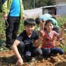 예천초등학교 이미지