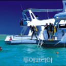 바다1번지