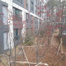동광오드공인중개사사무소 이미지