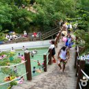 국화마을펜션 이미지