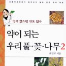 서울 경기 지역 최진규의 약초 강의 수강생 모집 이미지