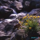 아지랑이 이미지