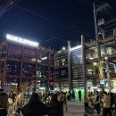 엘리펀트 | 블루엘리펀트 성수 매장 후기 선글라스 안경 핫하잖아