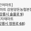 빅파인트리하우스 이미지