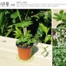 원하농장 이미지