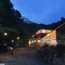 편백연 관광농원 이미지