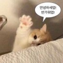 라이크어스컴퍼니