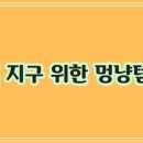 강아지와 고양이 이미지