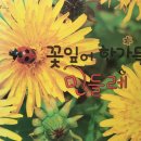 (주)찬솔 이미지