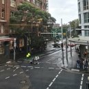 (주)골드블록마이닝 | 5세 아이와 호주 여행, 비 올 때 갈 곳 총정리☔️