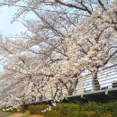 태화로타리하부공영주차장앞 이미지