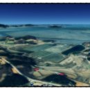 주식회사 베스트부동산중개법인 이미지