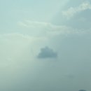 사리원 롯데월드몰점 | 역대급 더위 속 행복했던_8월