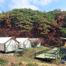 자연앤팜 이미지