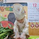 천일어린이집 | 천일 어린이집의 영아반 김장체험