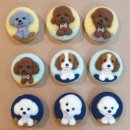 그립톡 양모펠트 이미지