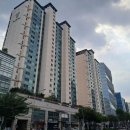 강남-117 이미지