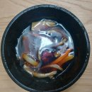 성호각 | [연희동탕수육맛집/서대문구청중국집] 서대문구 짜장면과 탕수육이 맛있는 중국집 성호각 내돈내산 후기