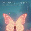 책나비
