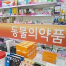 백세약국 이미지