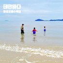 바다여행캠핑장 | 태안 마검포 해수욕장 해루질 맛조개 태안 바다 여행 캠핑장 후기