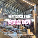 아양 | 동촌유원지 카페 마고플레인 아양점 후기ㅣ벚꽃뷰 대형 베이커리 카페(내돈내산)