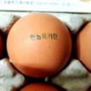 한농축산 이미지