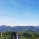 국내여행지 흑산도 여행 배편과 택시투어 한거