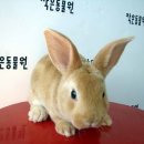 작은 동물원 이미지