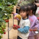 선민농장 이미지