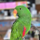 버드소리 대구수성점 이미지