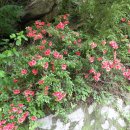 홍류동 화장실 이미지