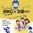 조선대힘찬태권도 이미지