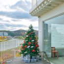 윤현목장 | 울산 태화강 카페 크리스마스데이트코스 뷰 예쁜 비씨디