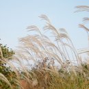 샬롬농장 이미지