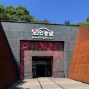경남 김해 아이랑 여름 필수 코스 실내 데이트 와인동굴 솔직후기