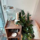 어디카페 | [공지] 마곡역 브런치 카페 어디 갈지 고민 끝! 브런치 나인 방문 후기 🍞