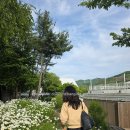 파주광탄경기-파주-광탄2 | 파주맛집 광탄오리 추천 필무드 근처 마장호수 까지