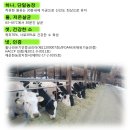 벧엘사료