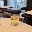 나만 | 경주벚꽃마라톤 2026 나만 신청 성공한 후기와 꿀팁