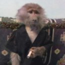 카이로스 PC방 이미지